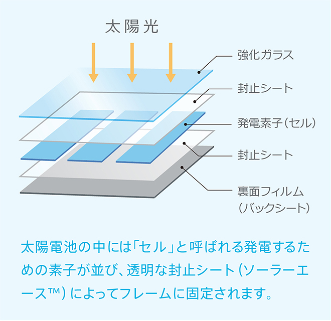 結晶型太陽電池の構造